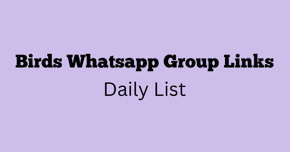 Birds Whatsapp Group Links Daily List